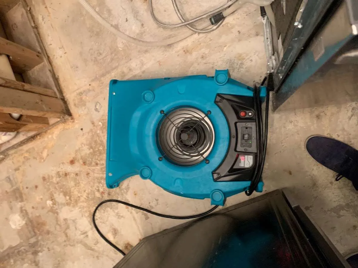Air mover drying equipment for Mold Remediation & Removal in Coral Springs